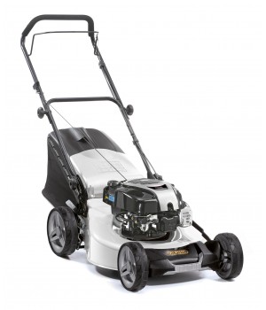 ALPINA AL5 51B B&S 750EX DOV ÇİM BİÇME