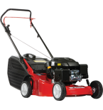 LR 48 PK Çim Biçme Ma...